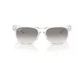 Ray-Ban New Wayfarer Ochelari de Soare RB 2132 677432 55