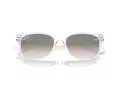 Ray-Ban New Wayfarer Ochelari de Soare RB 2132 677432 55