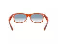 Ray-Ban New Wayfarer Ochelari de Soare RB 2132 789/3F 55