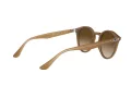Ray-Ban Ochelari de Soare RB 2180 6166/13 49