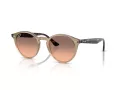 Ray-Ban Ochelari de Soare RB 2180 678846 49