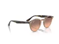 Ray-Ban Ochelari de Soare RB 2180 678846 51