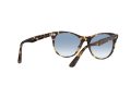 Ray-Ban Wayfarer Ii Ochelari de Soare RB 2185 1332/3F 52