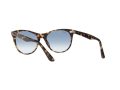 Ray-Ban Wayfarer Ii Ochelari de Soare RB 2185 1332/3F 55