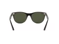 Ray-Ban Wayfarer Ii Ochelari de Soare RB 2185 902/31 55
