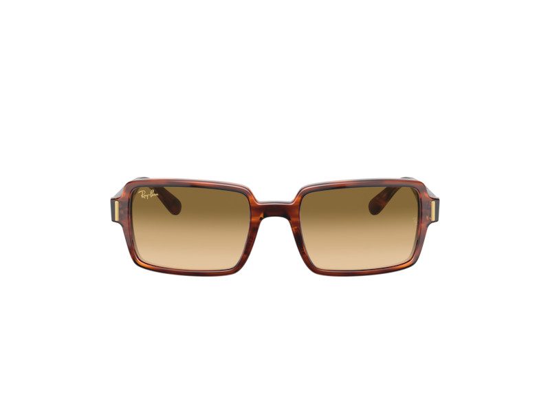 Ray-Ban Benji Ochelari de Soare RB 2189 954/51