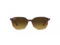 Ray-Ban Leonard Ochelari de Soare RB 2193 138085 51