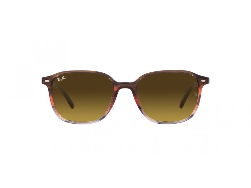 Ray-Ban Leonard Ochelari de Soare RB 2193 138085 51