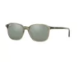 Ray-Ban Leonard Ochelari de Soare RB 2193 6635/5C 53