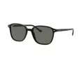 Ray-Ban Leonard Ochelari de Soare RB 2193 901/58 53