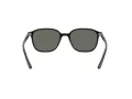 Ray-Ban Leonard Ochelari de Soare RB 2193 901/58 53