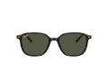Ray-Ban Leonard Ochelari de Soare RB 2193 902/31 53