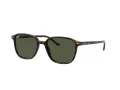 Ray-Ban Leonard Ochelari de Soare RB 2193 902/31 53