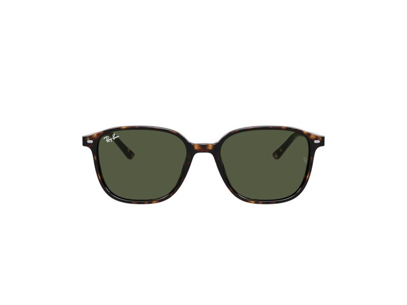 Ray-Ban Leonard Ochelari de Soare RB 2193 902/31 55