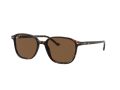 Ray-Ban Leonard Ochelari de Soare RB 2193 902/57 53