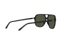Ray-Ban Bill Ochelari de Soare RB 2198 901/31 60