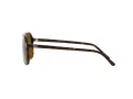 Ray-Ban Bill Ochelari de Soare RB 2198 902/57 60