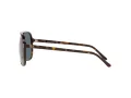 Ray-Ban Bill Ochelari de Soare RB 2198 902/R5 60