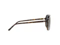 Ray-Ban Bill Ochelari de Soare RB 2198 902/R5 60