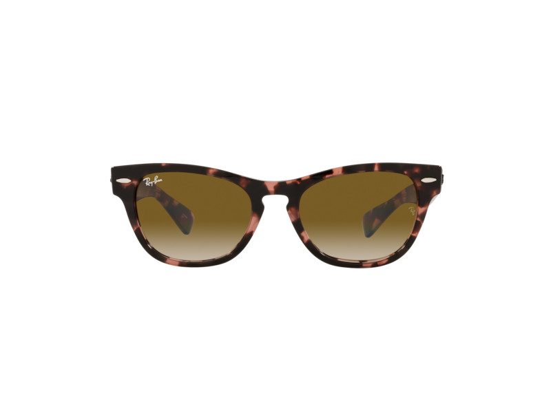 Ray-Ban Laramie Ochelari de Soare RB 2201 1334/51