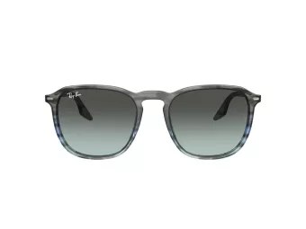 Ray-Ban Ochelari de Soare RB 2203 1391GK 55