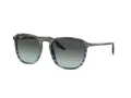 Ray-Ban Ochelari de Soare RB 2203 1391GK 55