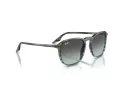 Ray-Ban Ochelari de Soare RB 2203 1391GK 55