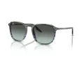 Ray-Ban Ochelari de Soare RB 2203 1391GK 55