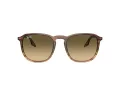 Ray-Ban Ochelari de Soare RB 2203 13920A 55