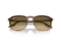 Ray-Ban Ochelari de Soare RB 2203 13920A 55
