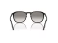 Ray-Ban Ochelari de Soare RB 2203 901/32 52