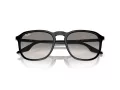 Ray-Ban Ochelari de Soare RB 2203 901/32 55