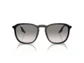 Ray-Ban Ochelari de Soare RB 2203 901/32 55