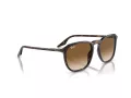 Ray-Ban Ochelari de Soare RB 2203 902/51 52