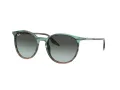 Ray-Ban Ochelari de Soare RB 0RB2204 1394GK 51