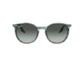 Ray-Ban Ochelari de Soare RB 0RB2204 1394GK 54