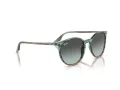 Ray-Ban Ochelari de Soare RB 0RB2204 1394GK 54