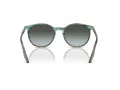 Ray-Ban Ochelari de Soare RB 0RB2204 1394GK 54