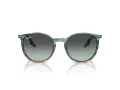 Ray-Ban Ochelari de Soare RB 0RB2204 1394GK 54