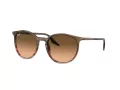 Ray-Ban Ochelari de Soare RB 0RB2204 13953B 51