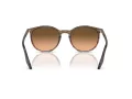 Ray-Ban Ochelari de Soare RB 0RB2204 13953B 51