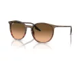 Ray-Ban Ochelari de Soare RB 0RB2204 13953B 51