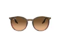 Ray-Ban Ochelari de Soare RB 0RB2204 13953B 54