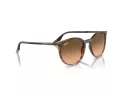 Ray-Ban Ochelari de Soare RB 0RB2204 13953B 54