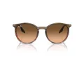 Ray-Ban Ochelari de Soare RB 0RB2204 13953B 54