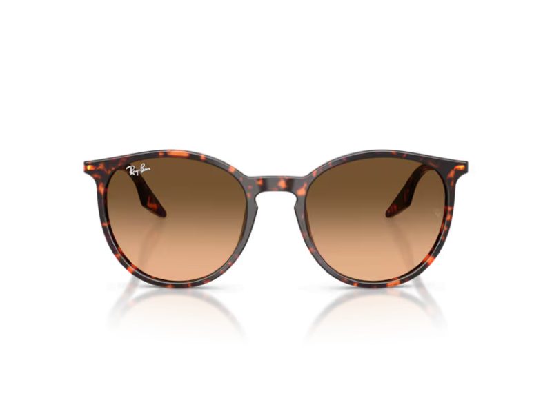 Ray-Ban Ochelari de Soare RB 2204 14293B