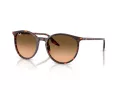 Ray-Ban Ochelari de Soare RB 2204 14293B 54