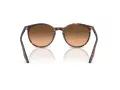 Ray-Ban Ochelari de Soare RB 2204 14293B 54