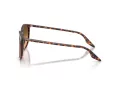 Ray-Ban Ochelari de Soare RB 2204 14293B 54