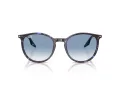 Ray-Ban Ochelari de Soare RB 2204 14303F 51